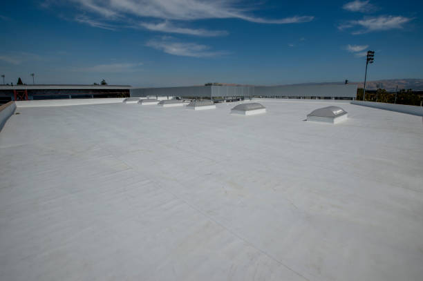 Best Roof Maintenance and Cleaning  in Rogers, TX
