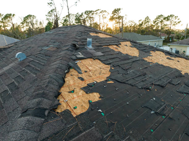 Best Roof Coating and Sealing  in Rogers, TX